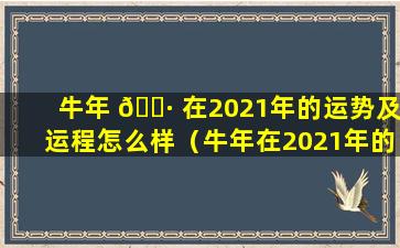 牛年 🌷 在2021年的运势及运程怎么样（牛年在2021年的运势及 💐 运程怎么样呢）